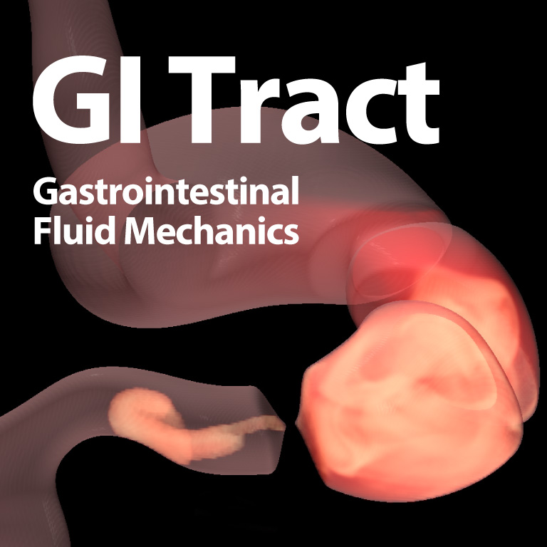 Gastrointestinal Fluid Mechanics