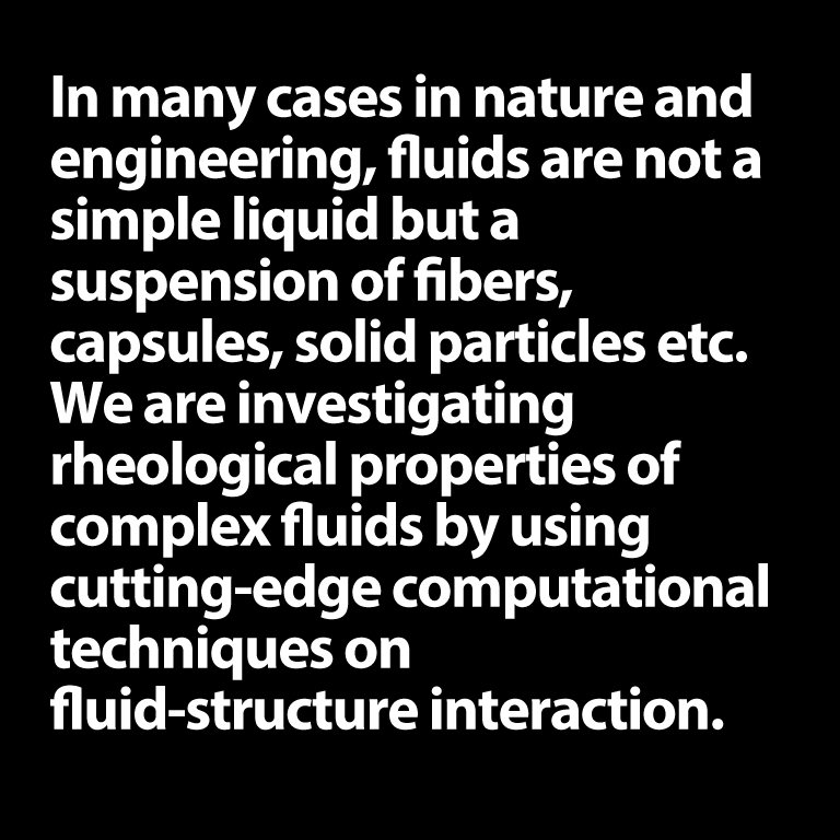 Complex Fluids