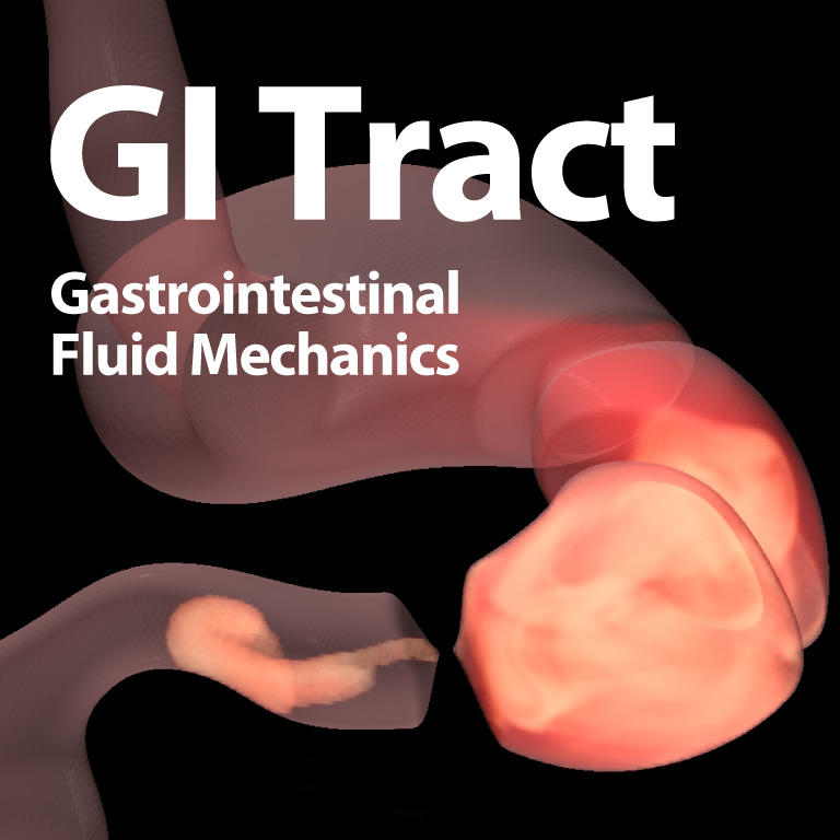 GI Tract