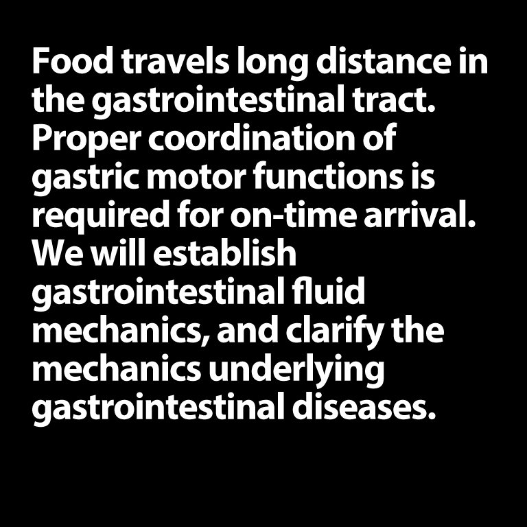 Gastrointestinal Fluid Mechanics