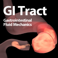 GI Tract