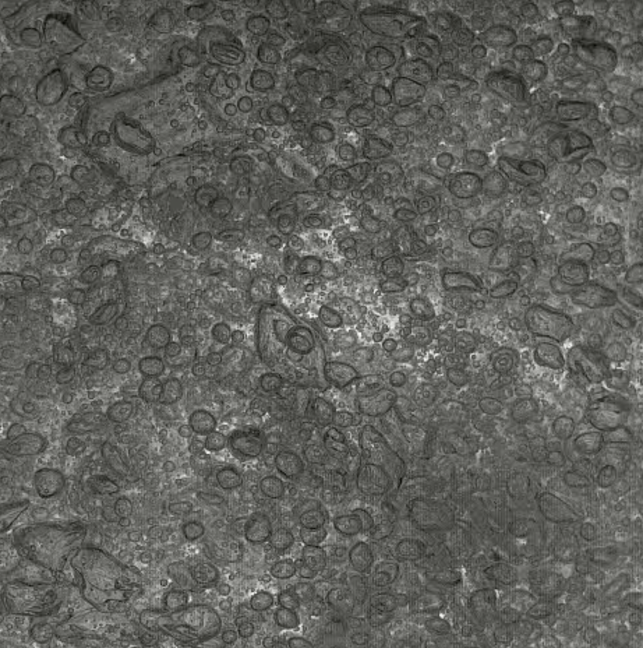 wake of bubble confined by fibers
