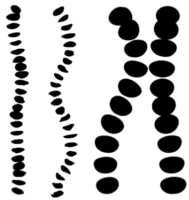 fully-contaminated bubbles