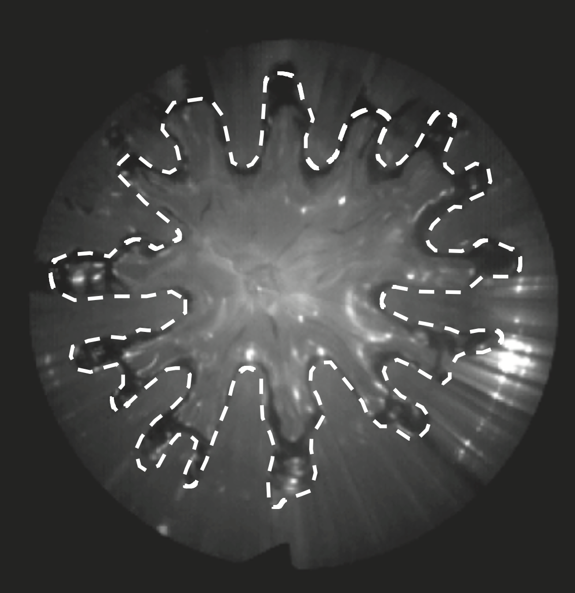 bubble confined by fibers